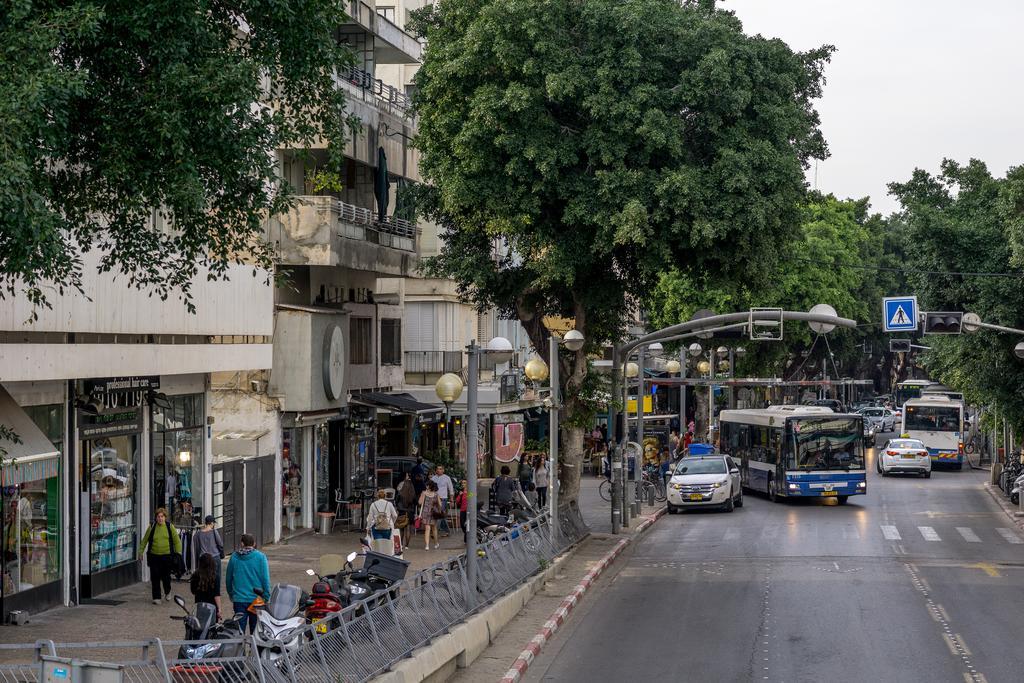 Olive The White House Tel Aviv